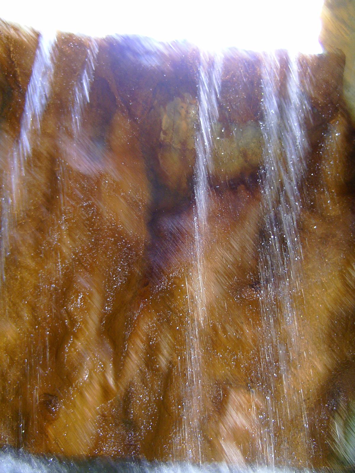 Zoom 18.10.08-117.jpg